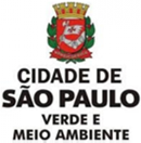 Camada 12