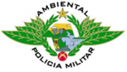Camada 14