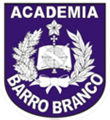 Camada 15
